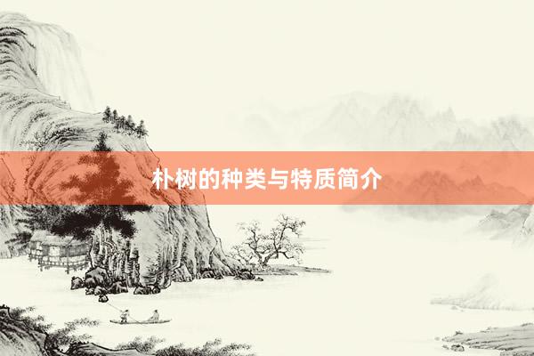 朴树的种类与特质简介